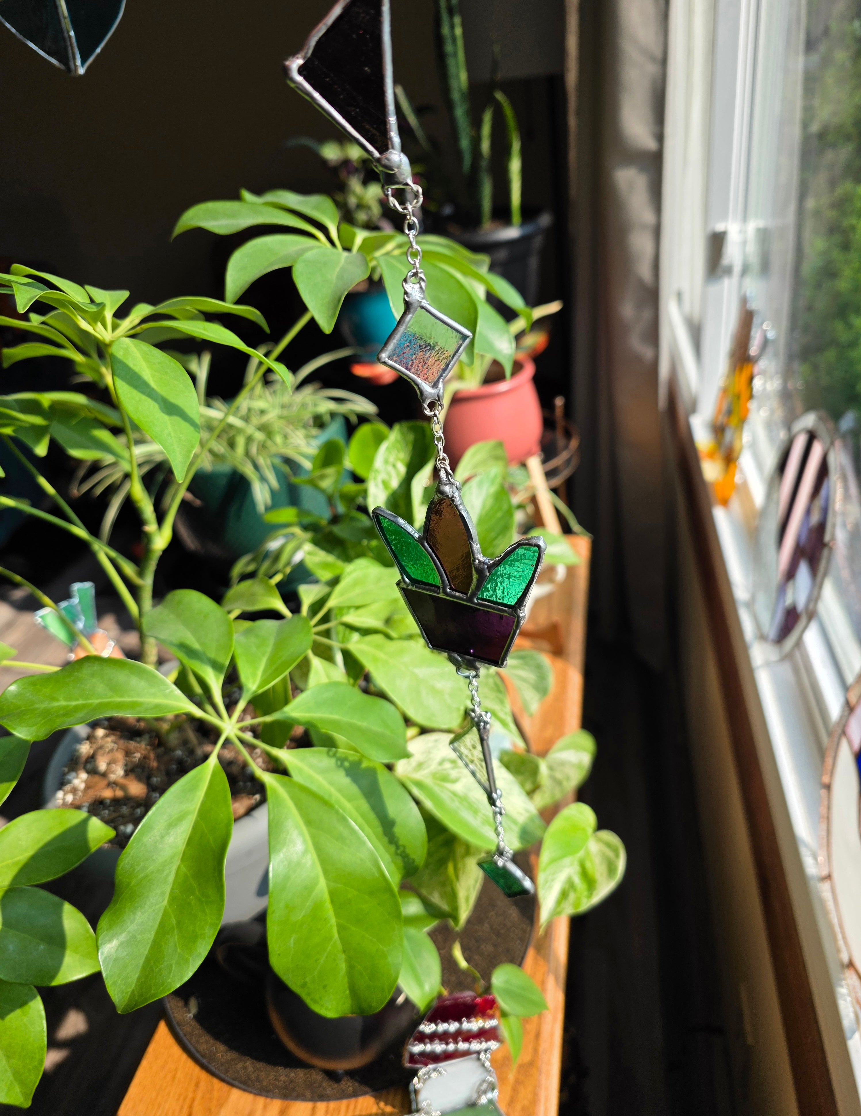 Plant Danglydoo