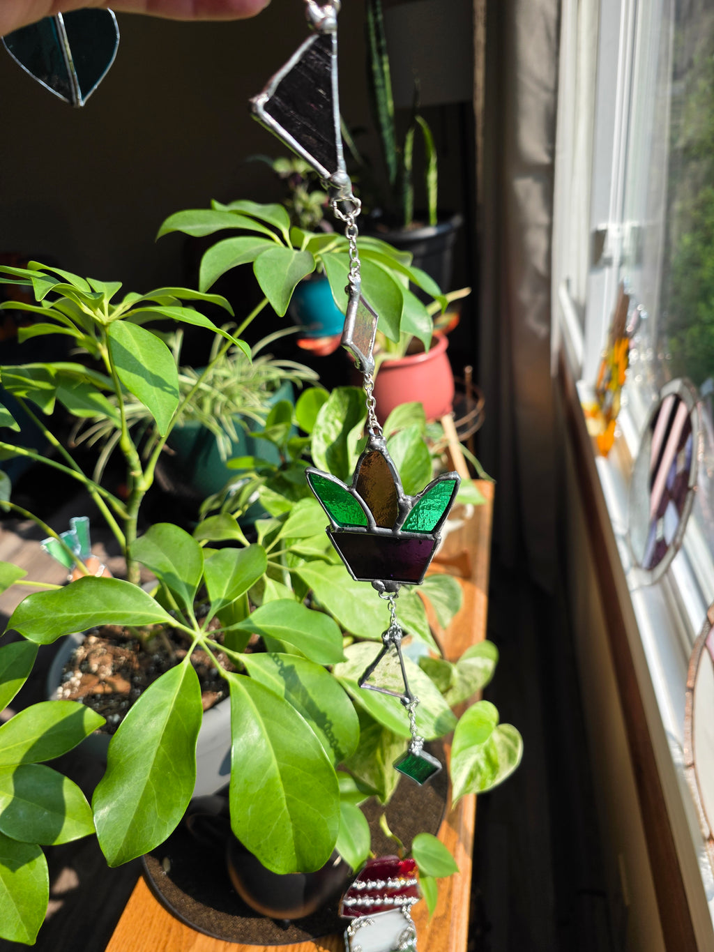 Plant Danglydoo